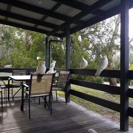 Cockatoo Cabin Halls Gap Kültér fotó